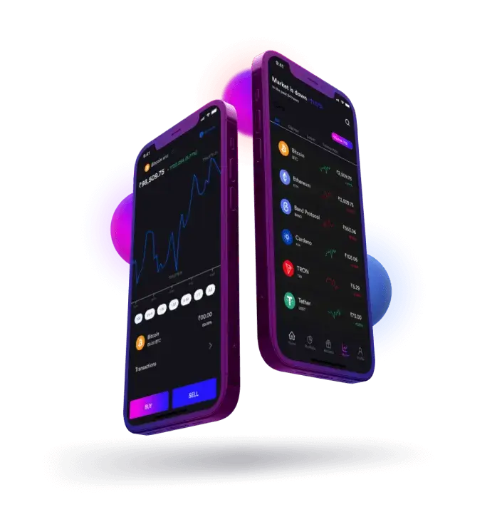 Ponte Quantum - Unlock Your VIP Account Today and Get Started